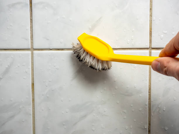 Best Residential Mold Remediation in Bridgewater, VA